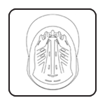 Canalized inner poolystyrene